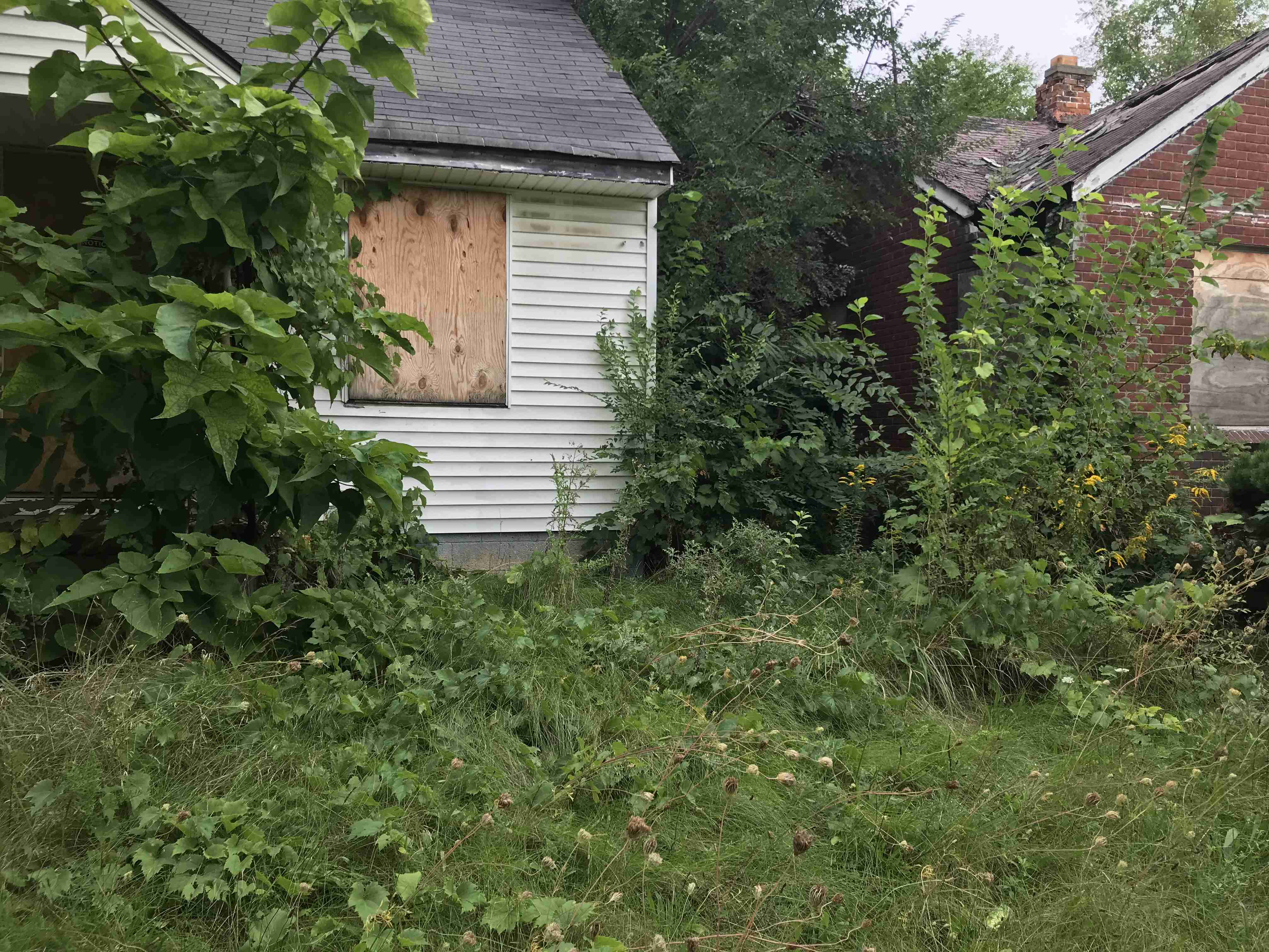 Photo Sep 10, 3 01 33 PM (1).jpg